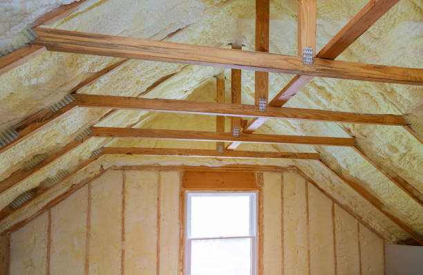Best Residential Insulation in Aspen Hill, MD