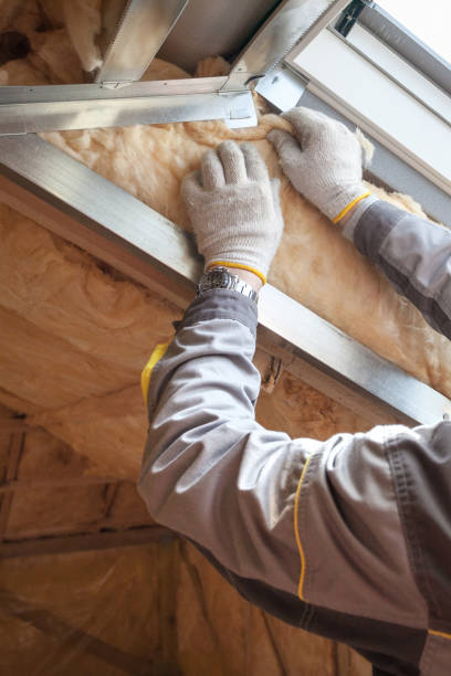 Best Geographic-Specific Insulation Services in Aspen Hill, MD